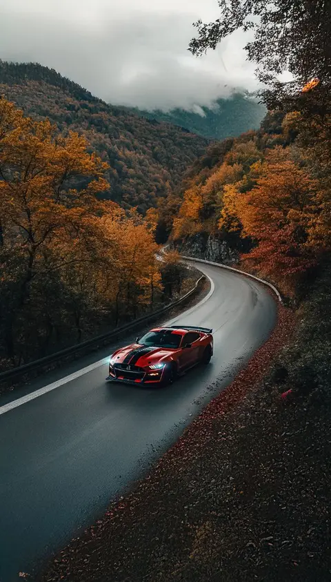 Red sports car on a curving autumn road